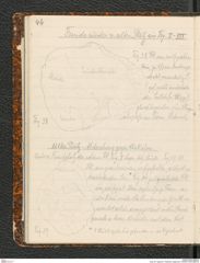 Seite 50, Tagebuch "Palästina (Tagebuch)" (NHMW-PRAE-BBB-80)